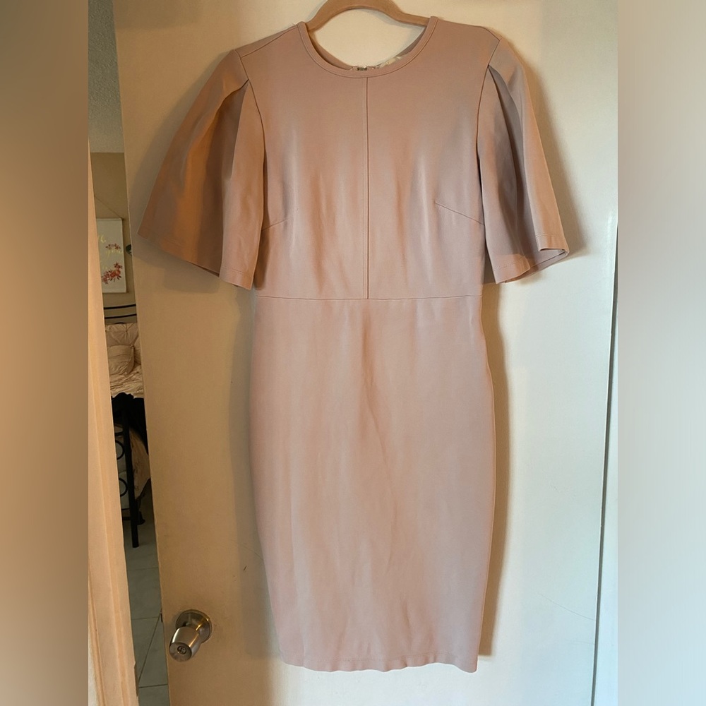 Rachel Parcell ponte flutter sleeve dress